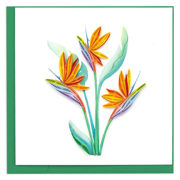 Bird of Paradise Quilling Card (NEW Design 2024)