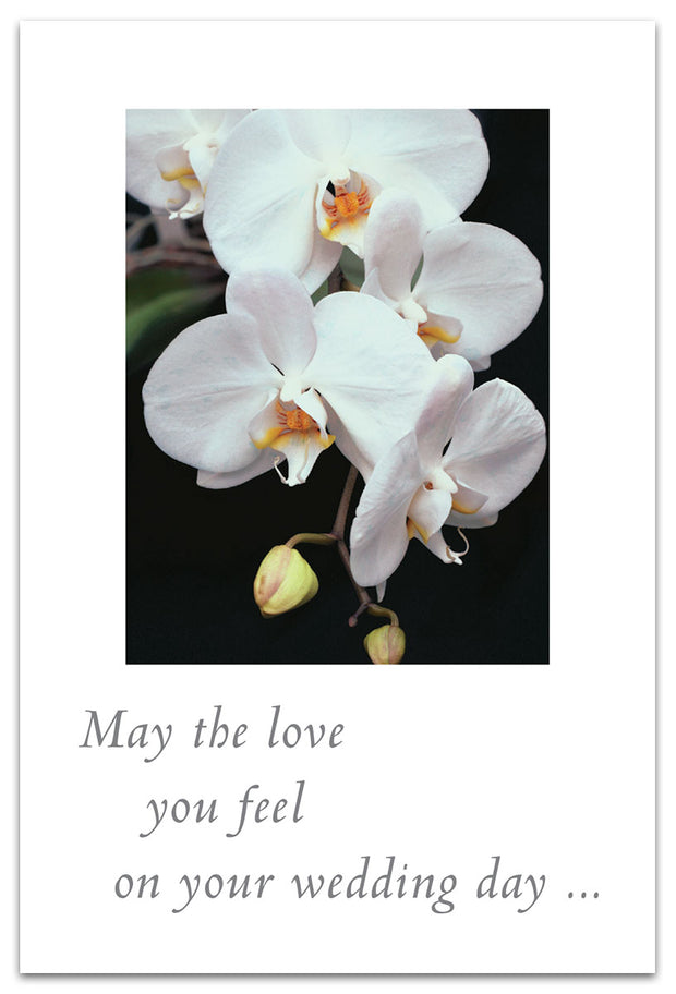 Stem of White Orchids Wedding Card