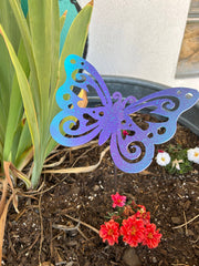 Large Swirly Butterfly