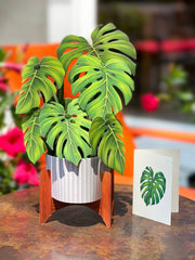 Monstera Plant Pop-Up Card