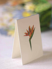 Tropical Bloom Pop-Up Card