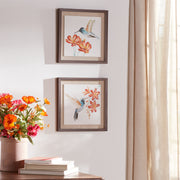 Framed Hummingbird Prints