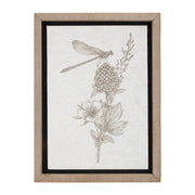 Framed Garden Prints