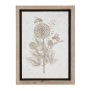 Framed Garden Prints