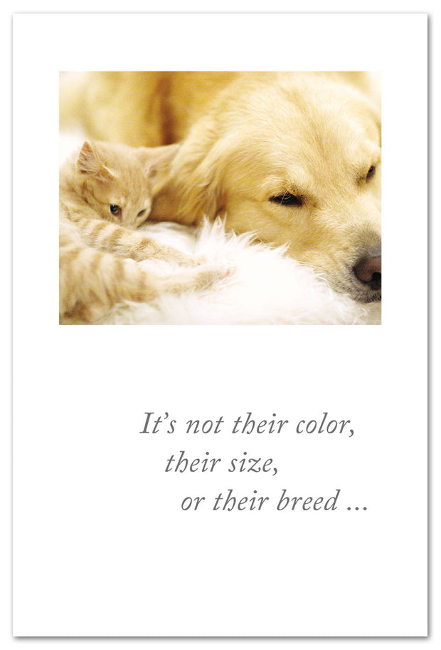 Curled Cat & Dog Pet Condolence Card