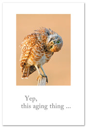 Curious Burrowing Owl Birthday Card