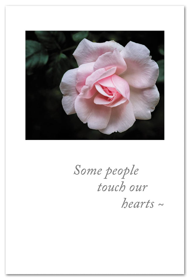 Pink Garden Rose Condolence Card