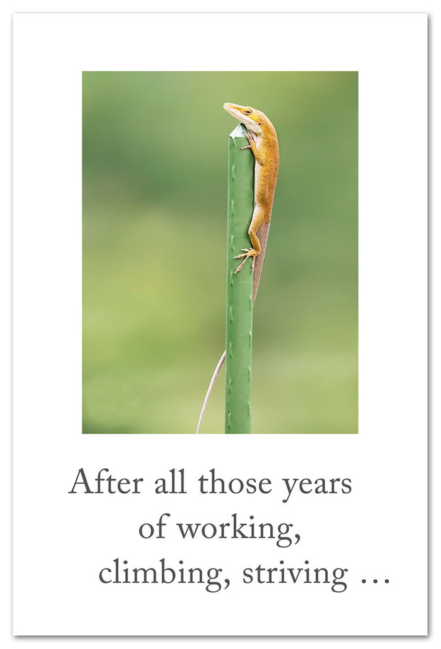 Lizard Climbing Stake Retirement Card