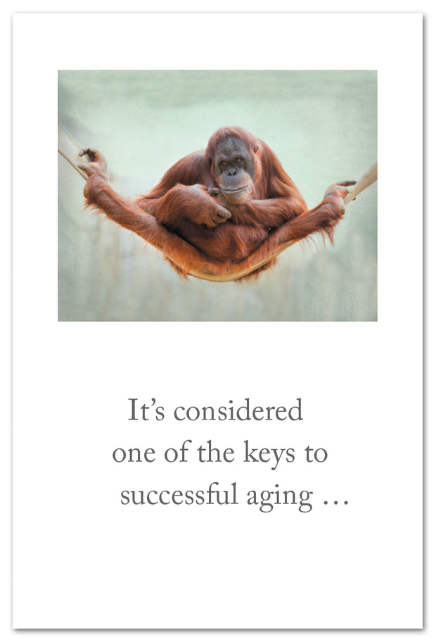 Flexible Orangutan Birthday Card