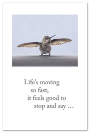 Hummingbird at Rest Thinking of You Card