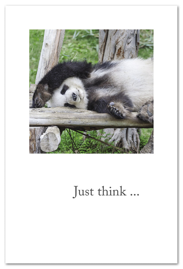 Sleep Giant Panda Retirement Card