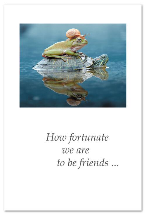 Snail Frog Turtle Stack Friendship Card