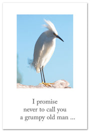 Snowy Egret Birthday Card