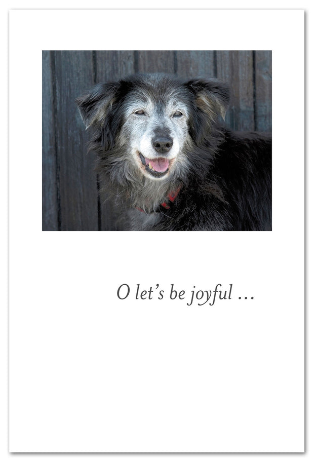 Happy Old Dog Birthday Card
