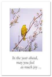 Yellow Warbler Birthday Card