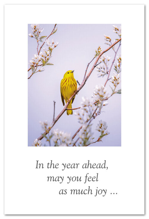 Yellow Warbler Birthday Card