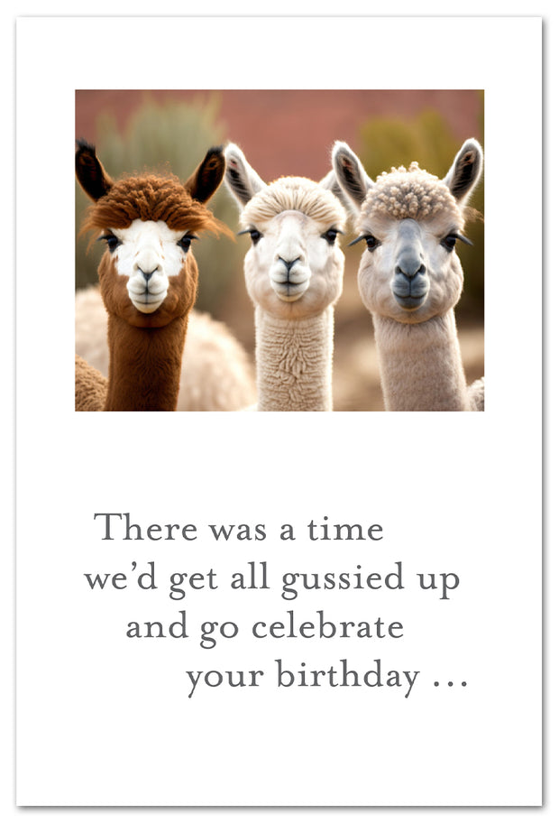 Alpaca Pals Birthday Card