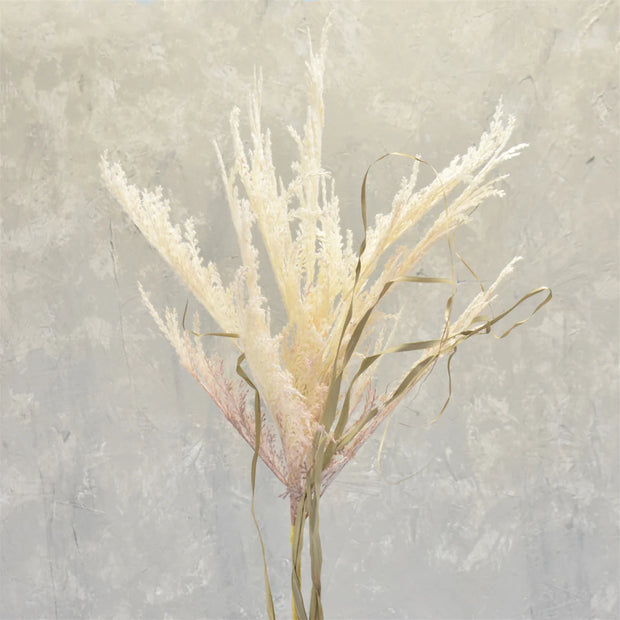 Wild Pampas Spray 51" Cream