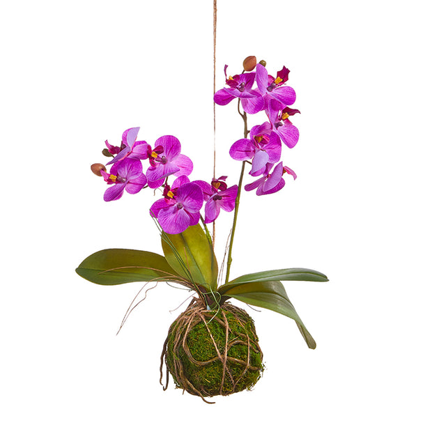 Real Touch Purple Orchid on Moss Ball, 15"