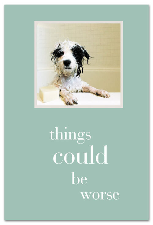 Dog in Tub Feel Better Card