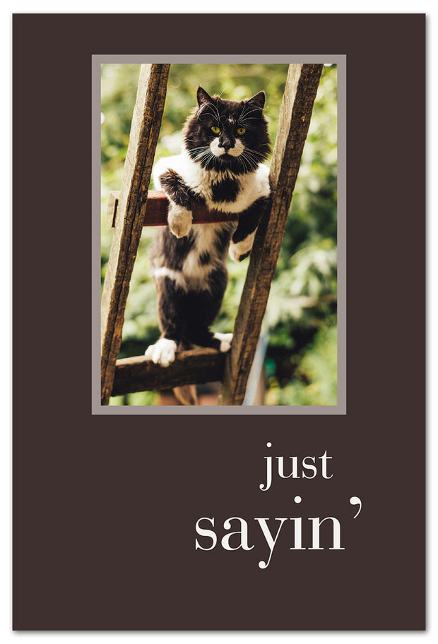 Cat on Ladder Birthday Card
