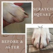 Scratch Square Small