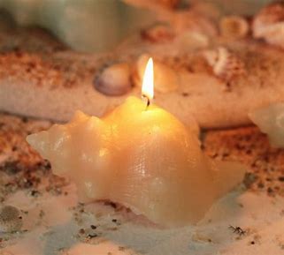 Ivory Conch Shell Candles