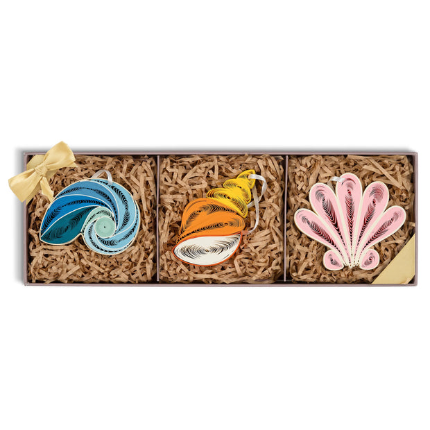 Seashell Ornaments Box Set