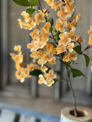 32" Chaucer Amber Hydrangea Stem