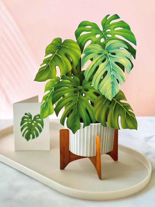 Monstera Plant Pop-Up Card