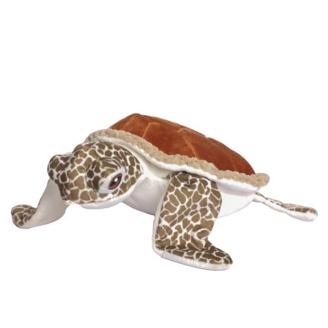 Animated Sea Turtle