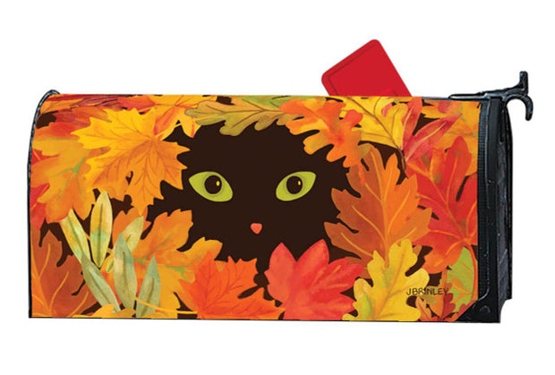 Peek-a-boo Cat Mailbox Wrap