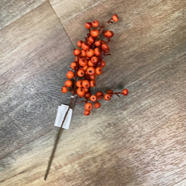 Orange Cranberry Pick