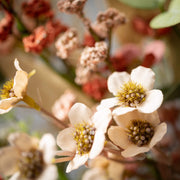 9.5" Rust Flower Eucalyptus Floral Pick