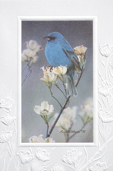 Indigo Bunting Sympathy Greeting Card