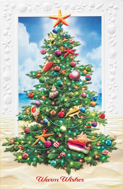 Beach Evergreen 16 Deluxe Boxed Christmas Cards