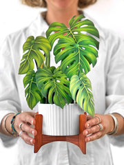 Monstera Plant Pop-Up Card