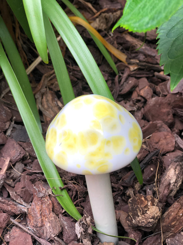 Yellow Speckles on White