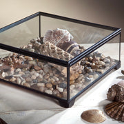 Glass Display Box