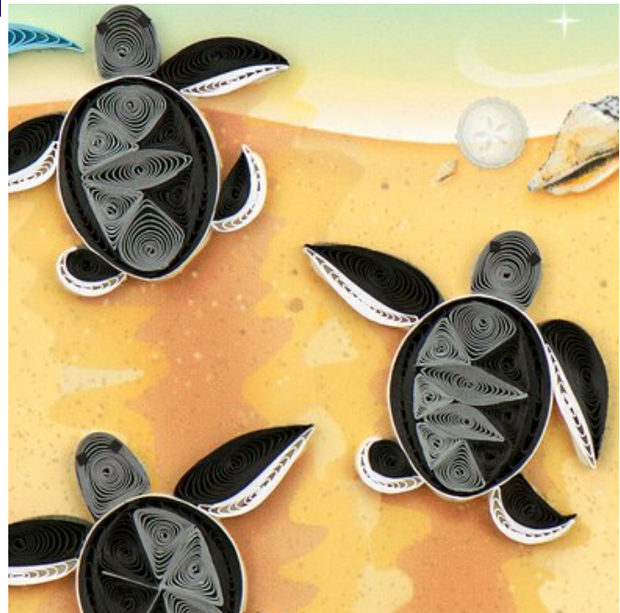 Sea Turtle Hatchlings Quilling Card