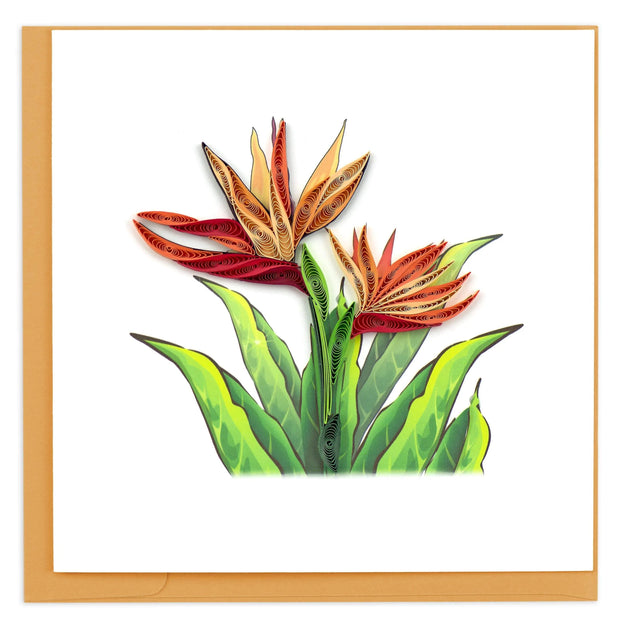 Bird of Paradise Quilling Card