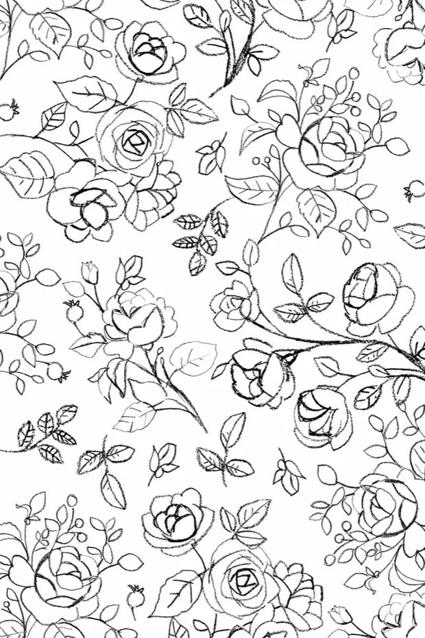 Rose Sketch - White